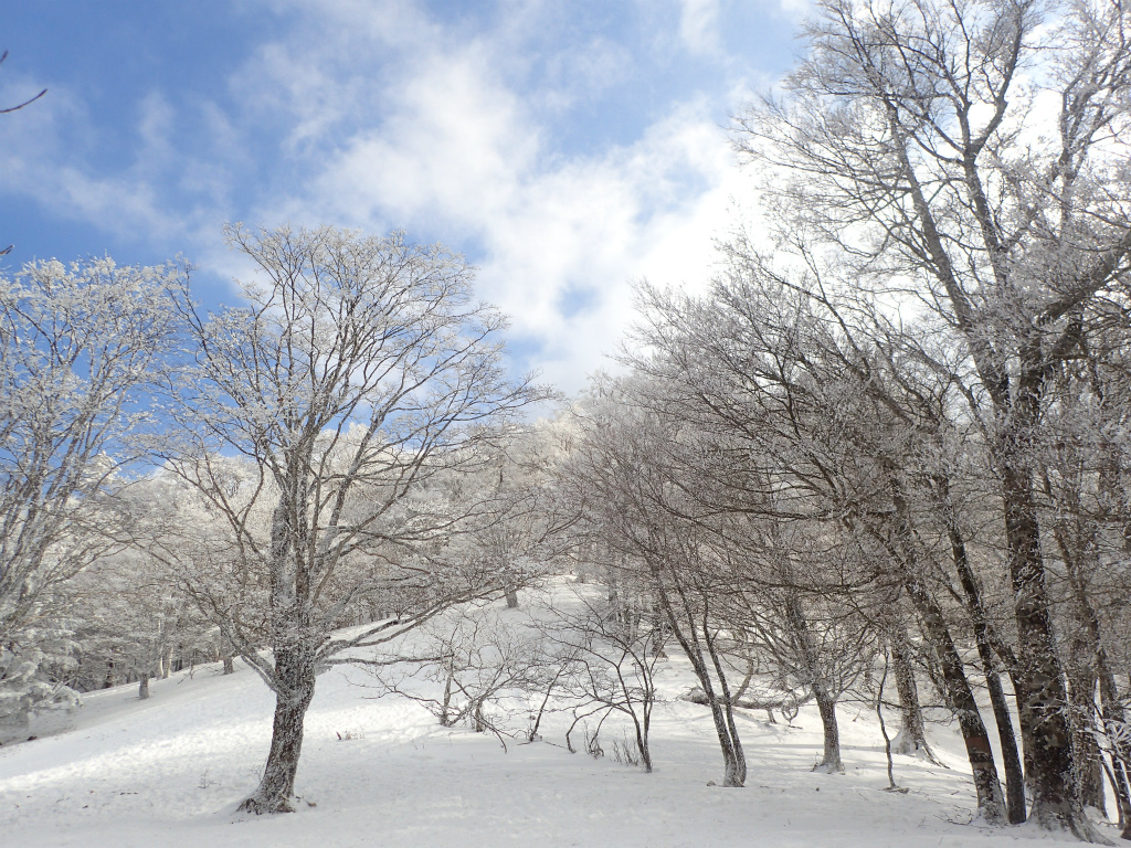 f:id:chkch:20210210221009j:plain