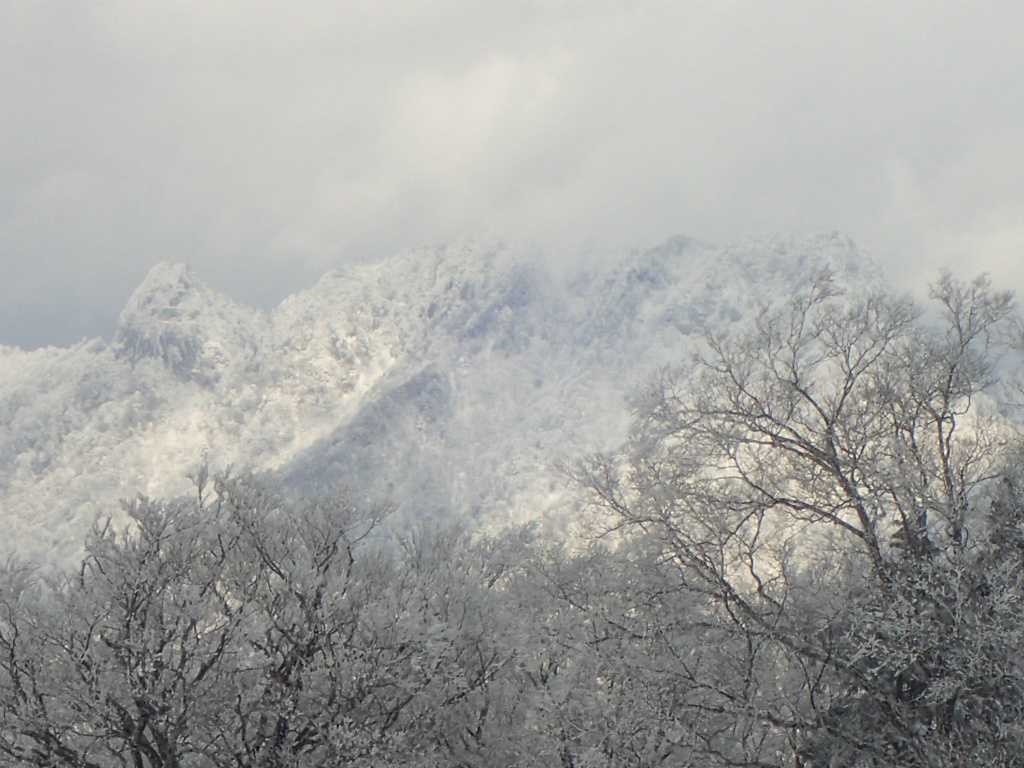 f:id:chkch:20210210223433j:plain