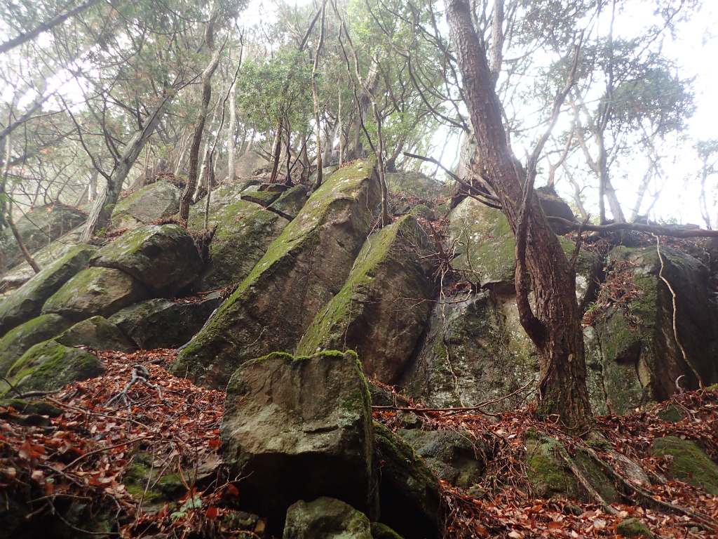 f:id:chkch:20210213103131j:plain