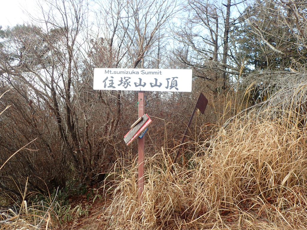 f:id:chkch:20210213103158j:plain