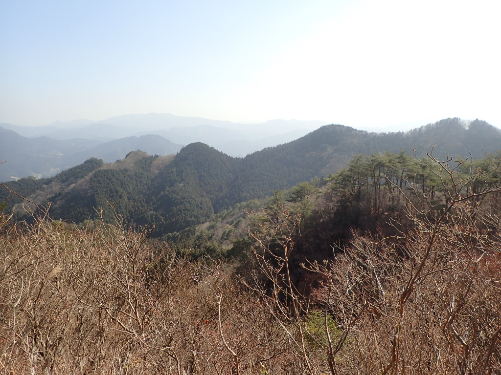 f:id:chkch:20210213103230j:plain