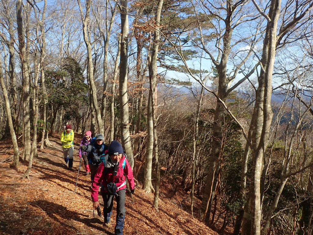 f:id:chkch:20210216224207j:plain