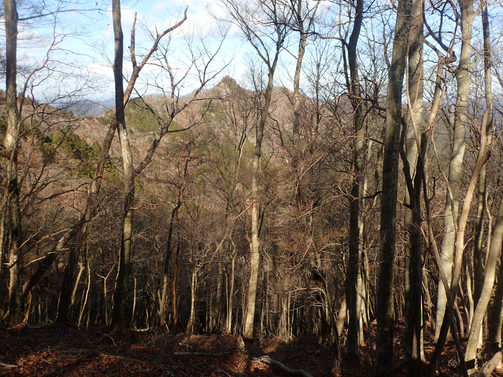 f:id:chkch:20210216224219j:plain