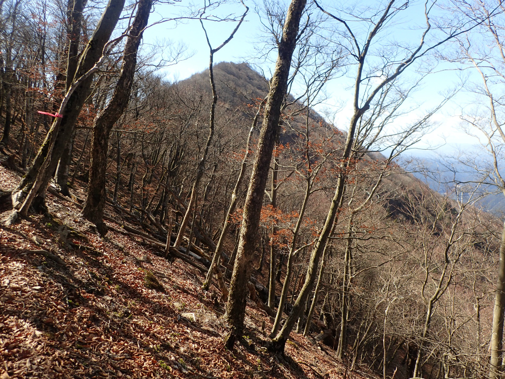 f:id:chkch:20210216224359j:plain