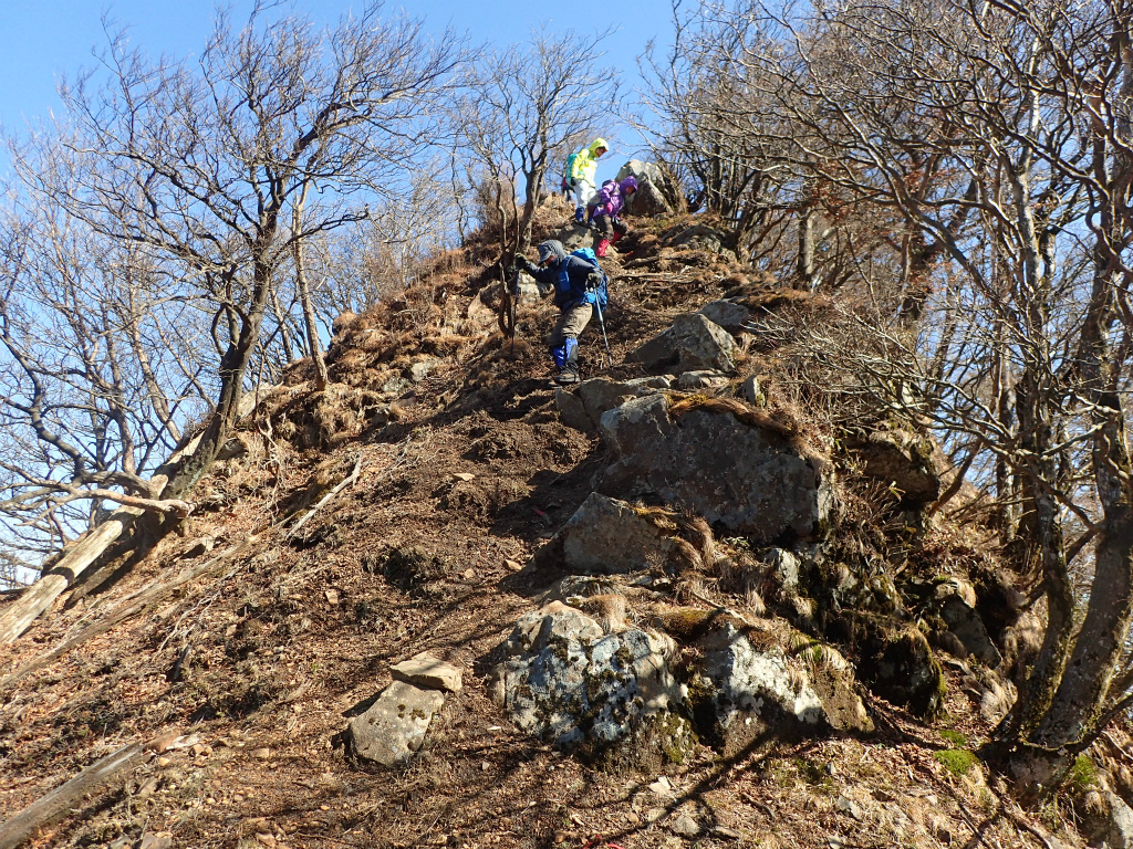 f:id:chkch:20210216224442j:plain