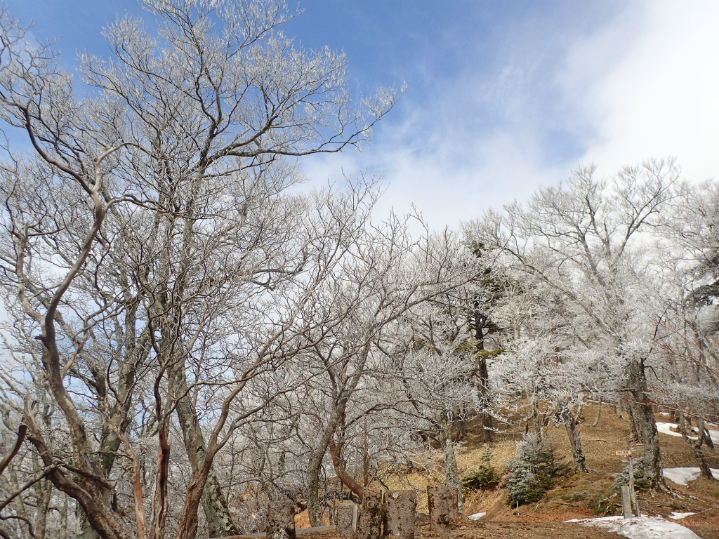 f:id:chkch:20210223233925j:plain