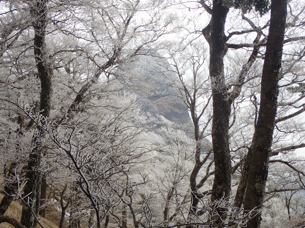 f:id:chkch:20210223233932j:plain