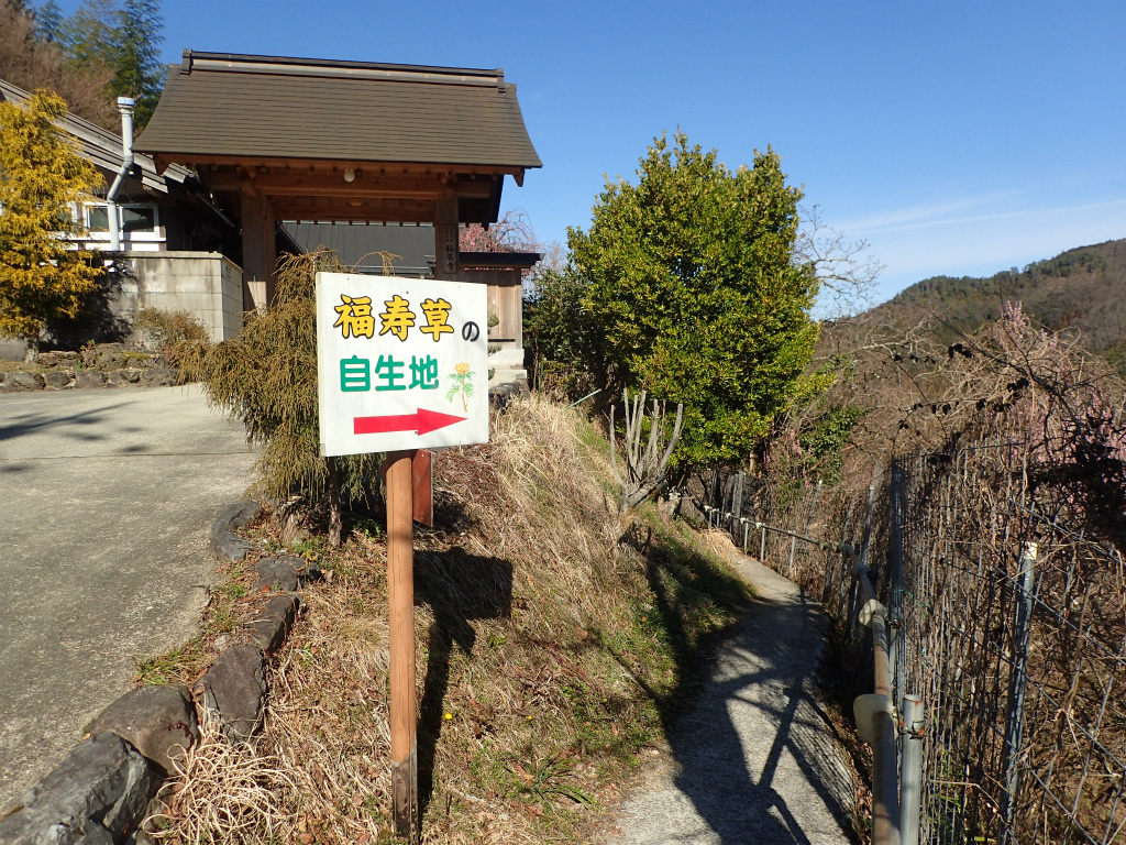 f:id:chkch:20210225212033j:plain