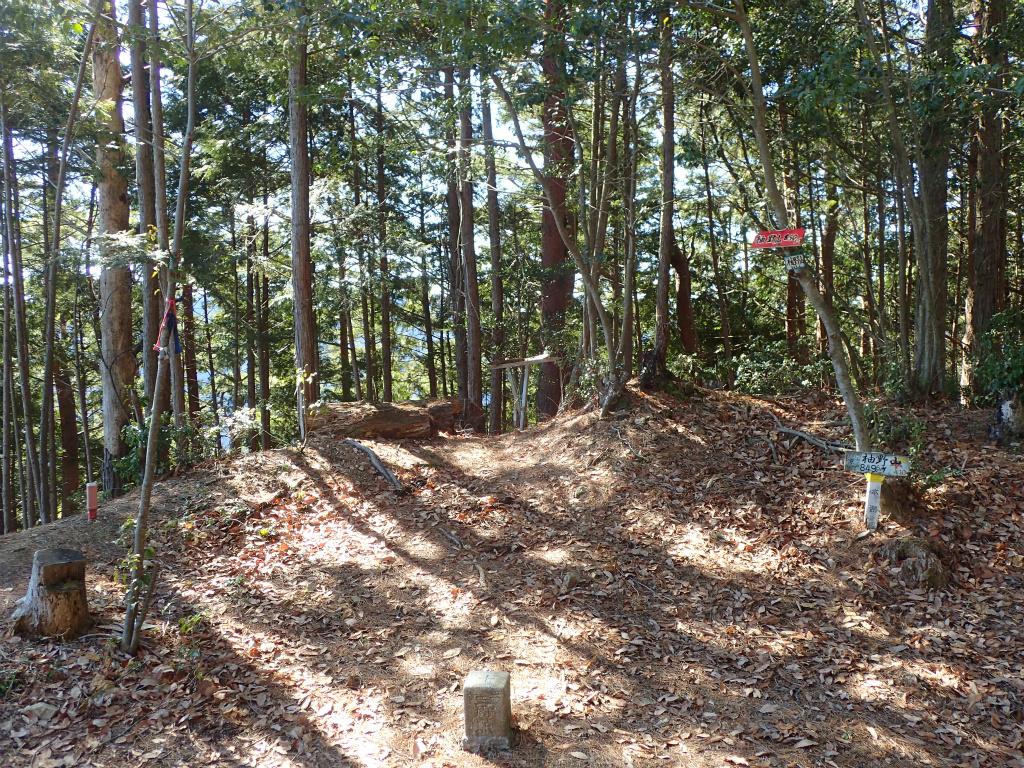 f:id:chkch:20210225212058j:plain