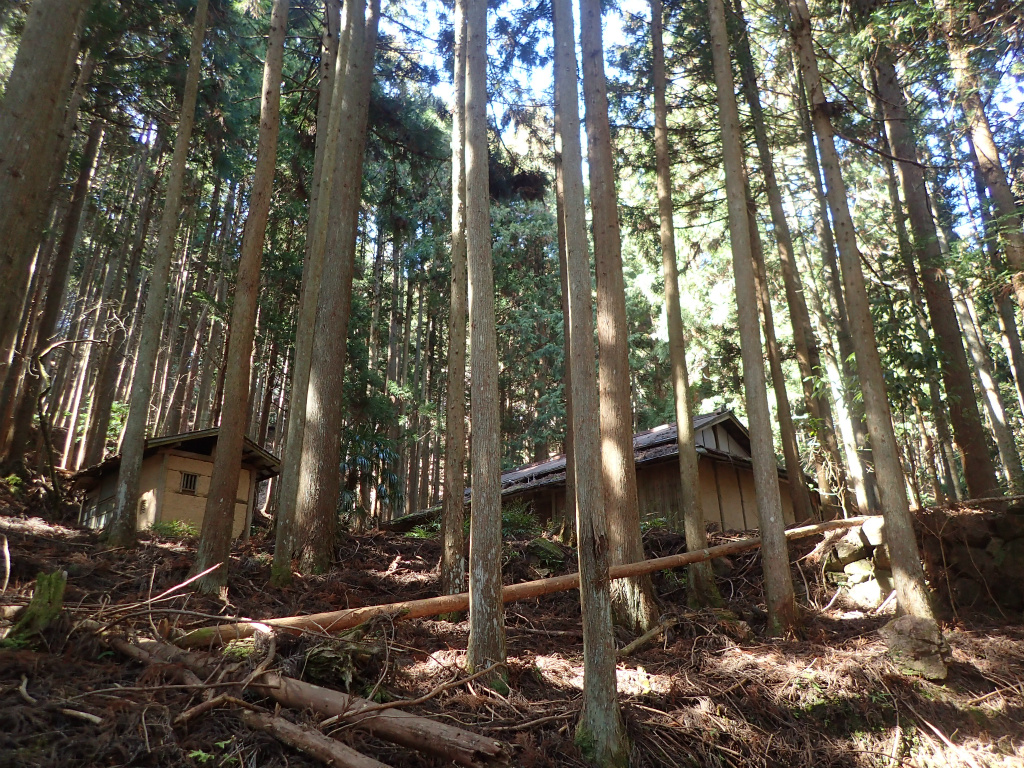 f:id:chkch:20210225212126j:plain