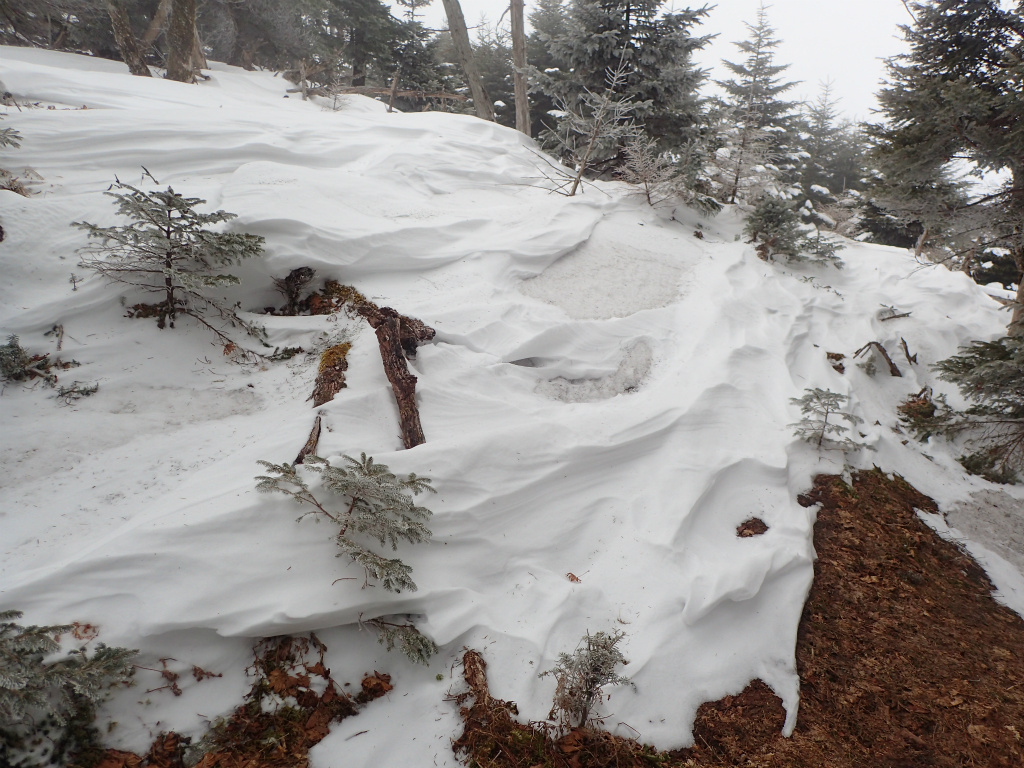 f:id:chkch:20210316164813j:plain