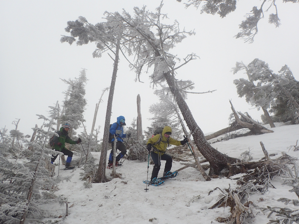 f:id:chkch:20210316164837j:plain