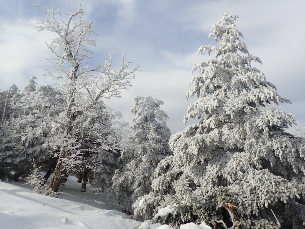 f:id:chkch:20210316164904j:plain