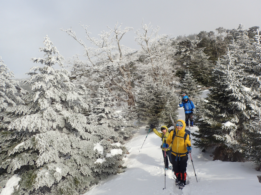 f:id:chkch:20210316164910j:plain