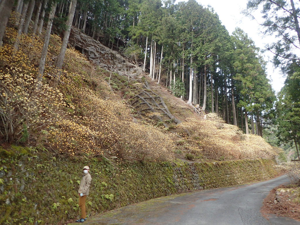 f:id:chkch:20210322223156j:plain