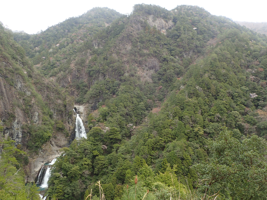 f:id:chkch:20210322223232j:plain