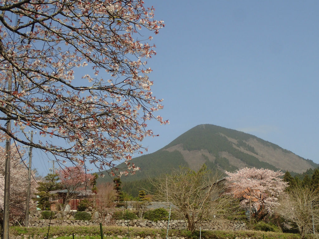 f:id:chkch:20210401221431j:plain