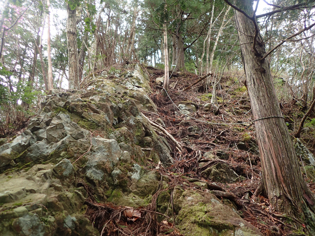 f:id:chkch:20210406090801j:plain