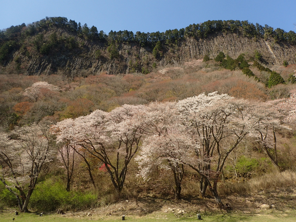 f:id:chkch:20210411223703j:plain