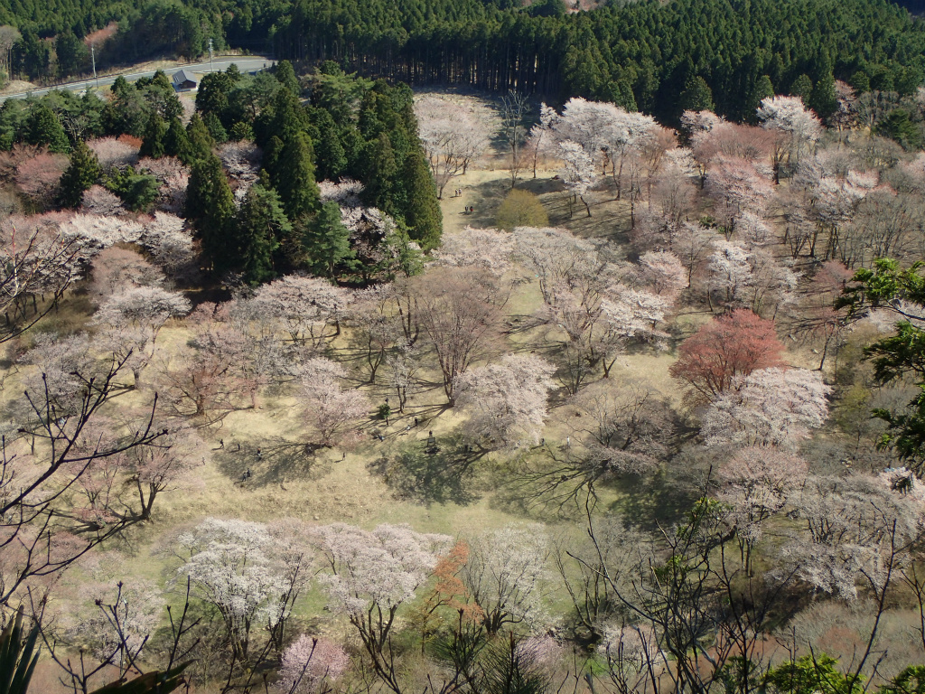 f:id:chkch:20210411223716j:plain