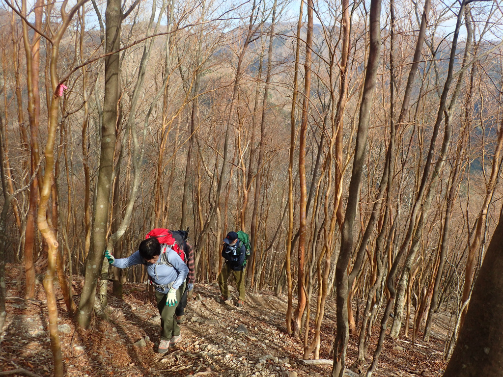 f:id:chkch:20210428102733j:plain