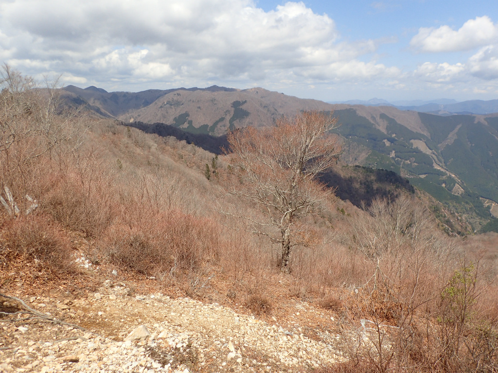 f:id:chkch:20210428102817j:plain