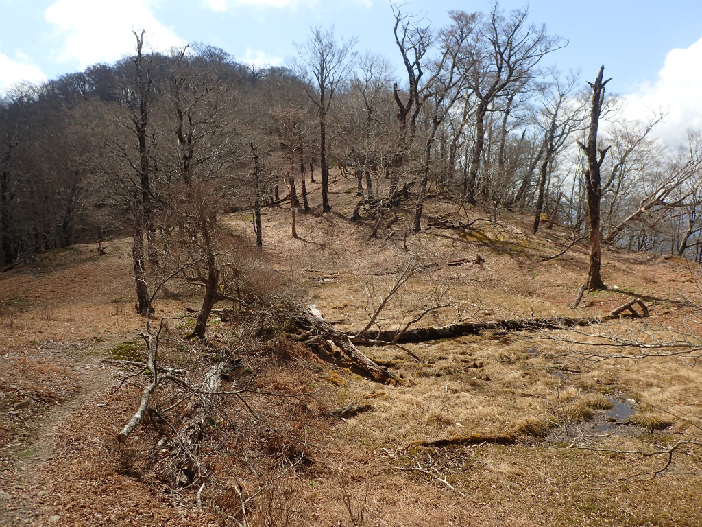 f:id:chkch:20210428102841j:plain