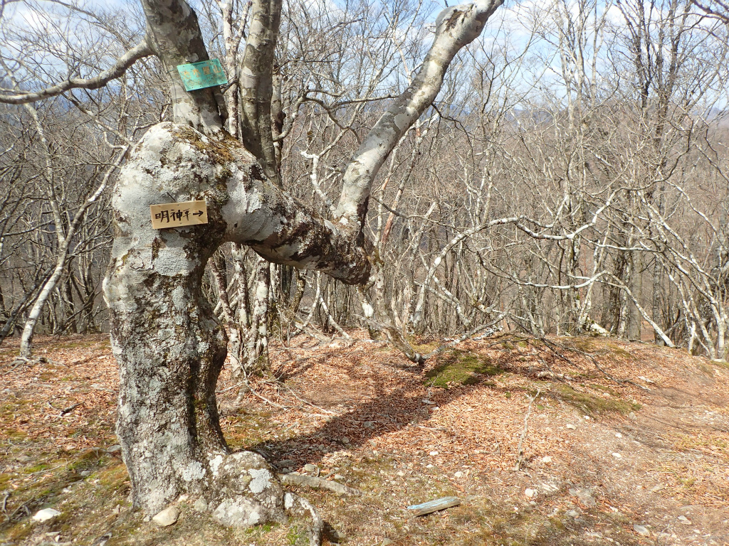 f:id:chkch:20210428102847j:plain