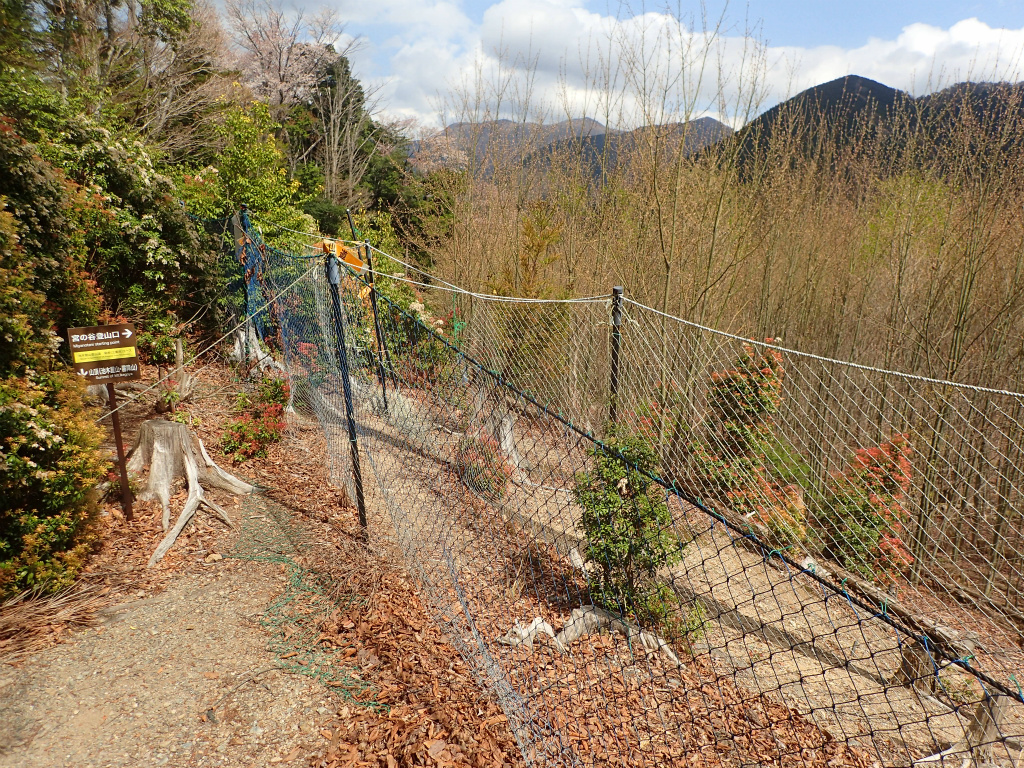 f:id:chkch:20210428102913j:plain