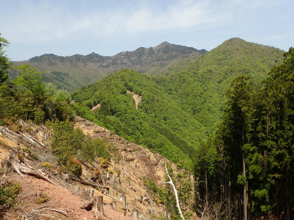 f:id:chkch:20210512134521j:plain