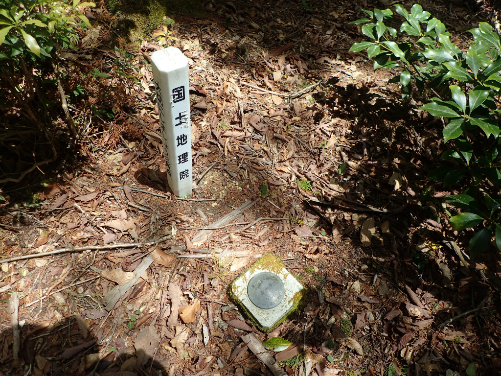 f:id:chkch:20210512134527j:plain