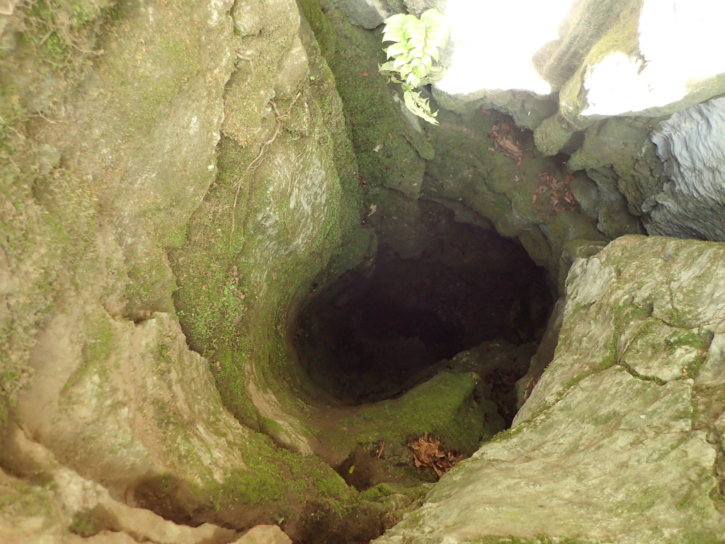 f:id:chkch:20210512134603j:plain