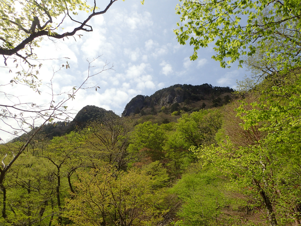 f:id:chkch:20210512144254j:plain