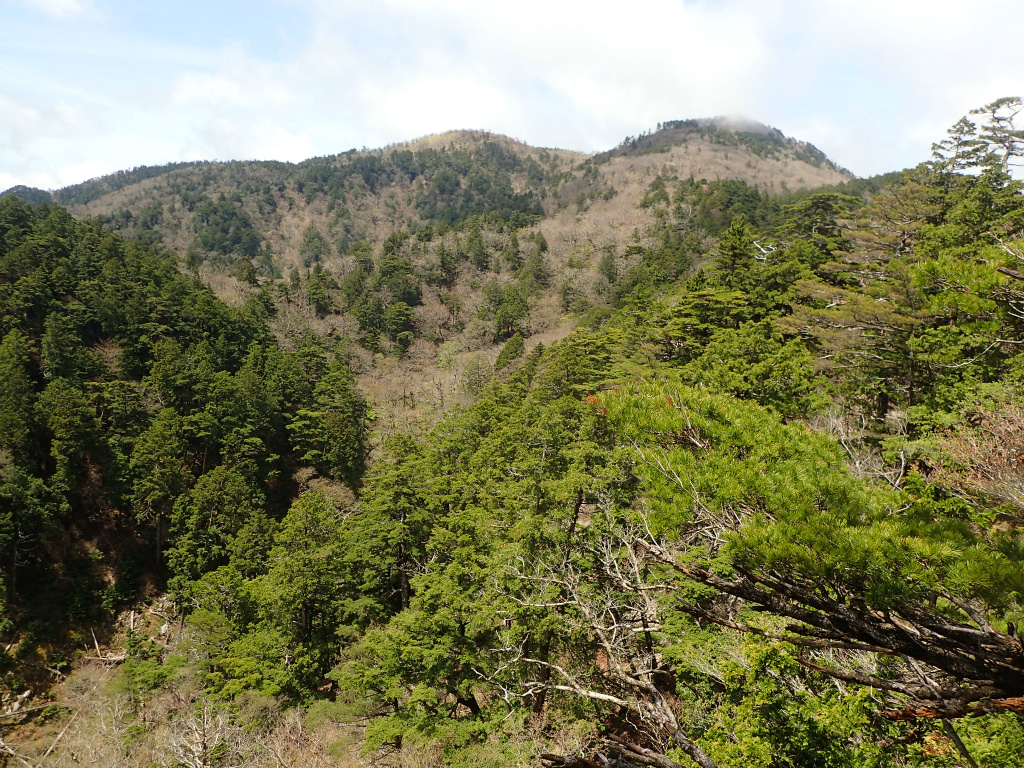 f:id:chkch:20210604143423j:plain