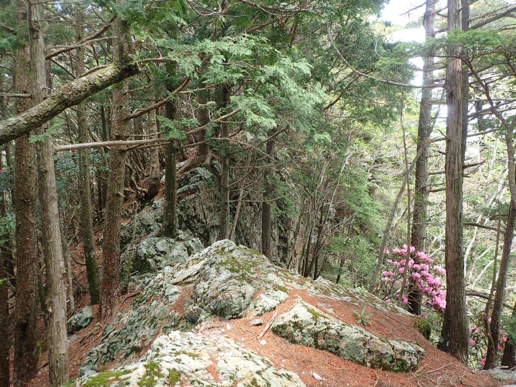 f:id:chkch:20210604143452j:plain