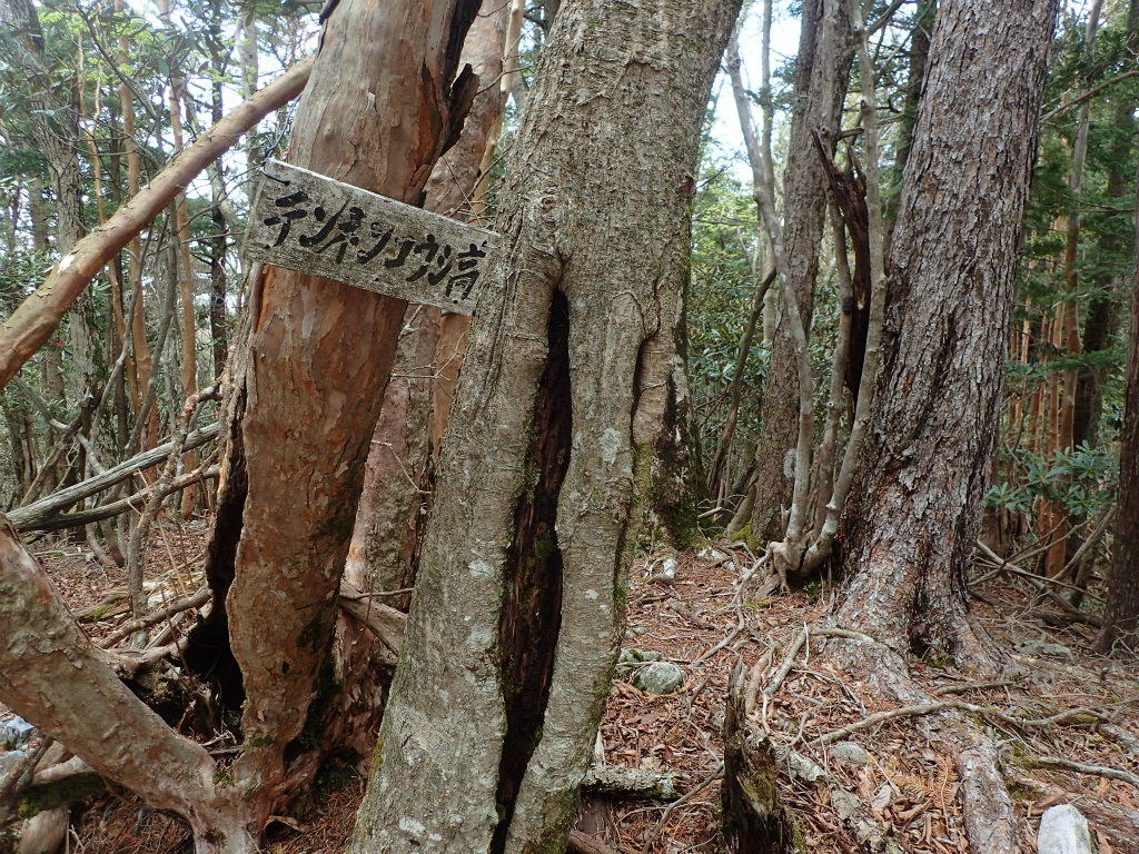 f:id:chkch:20210604143526j:plain