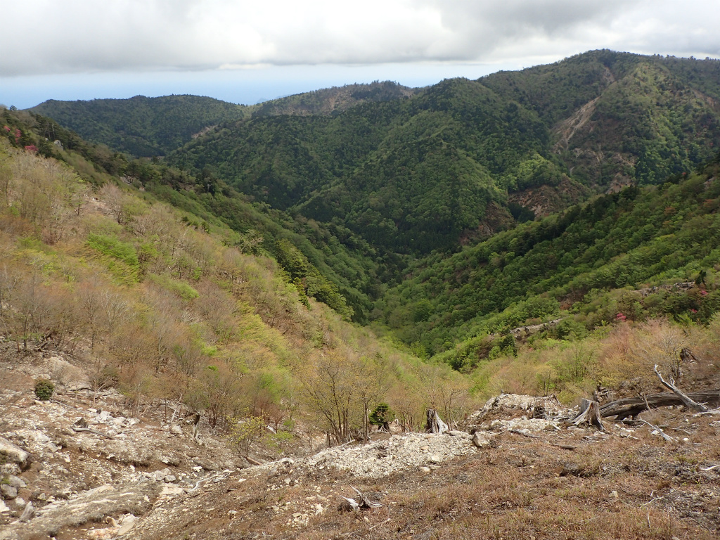 f:id:chkch:20210604143536j:plain