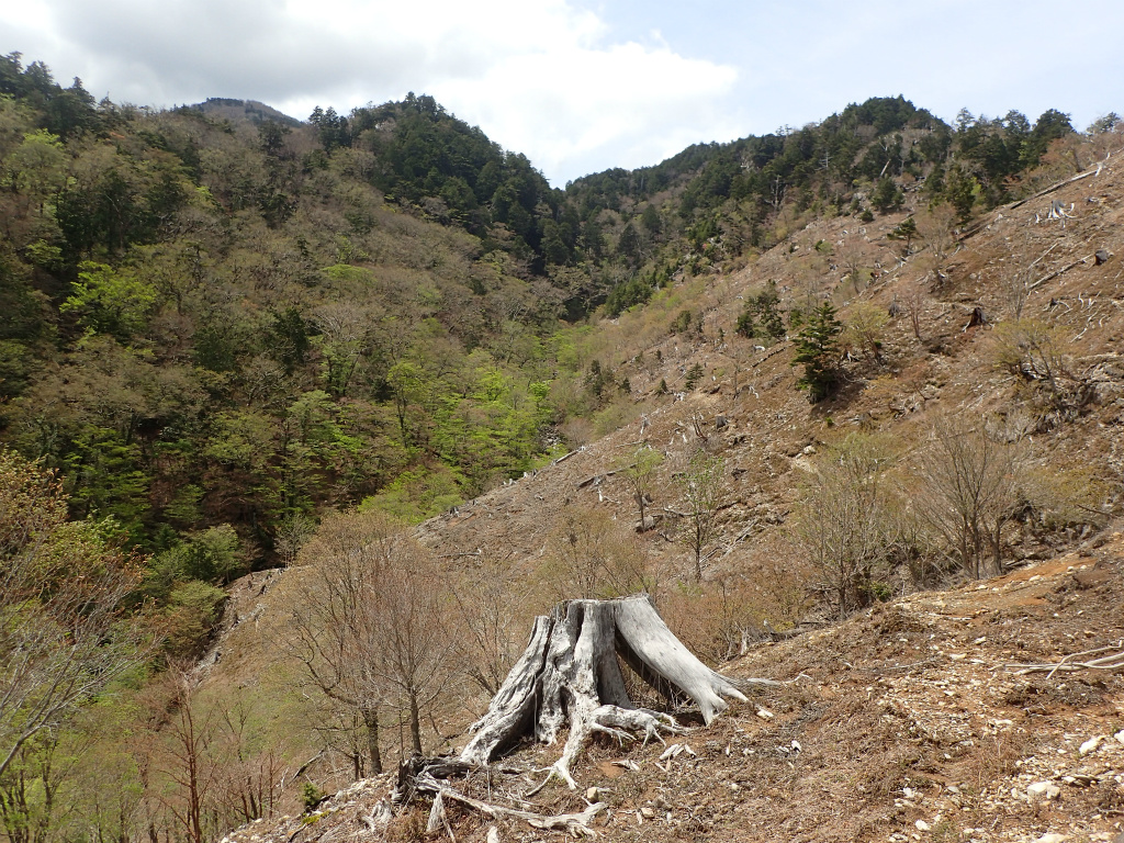 f:id:chkch:20210604143551j:plain