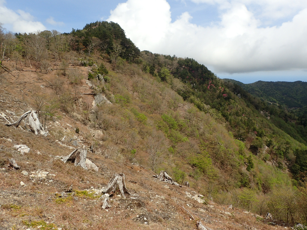 f:id:chkch:20210604143600j:plain