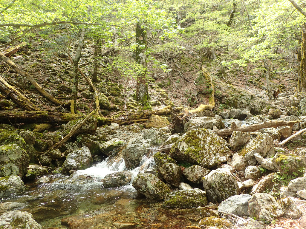 f:id:chkch:20210604143624j:plain