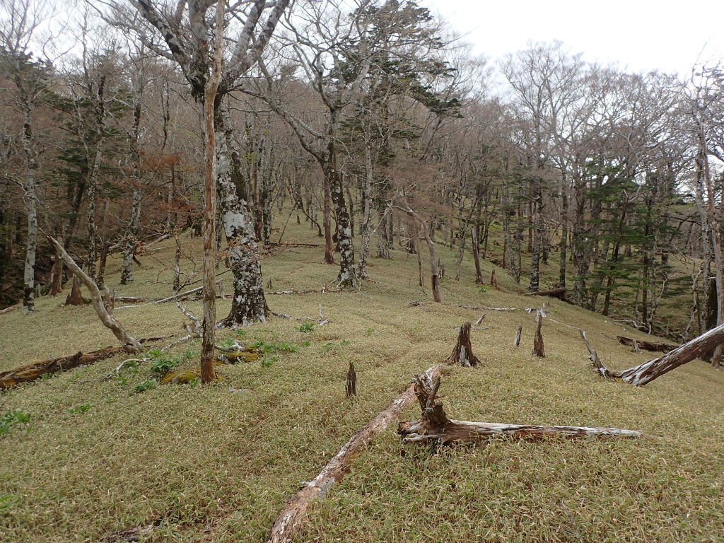 f:id:chkch:20210604143638j:plain