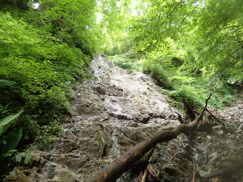 f:id:chkch:20210726221014j:plain