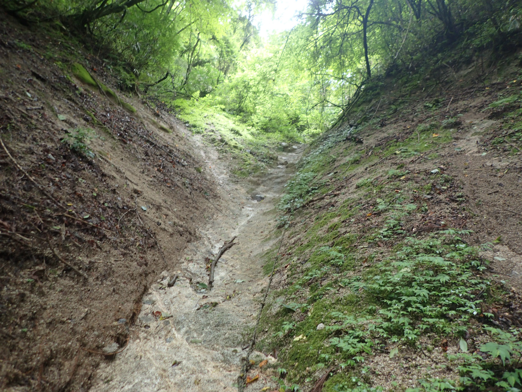 f:id:chkch:20210726221024j:plain