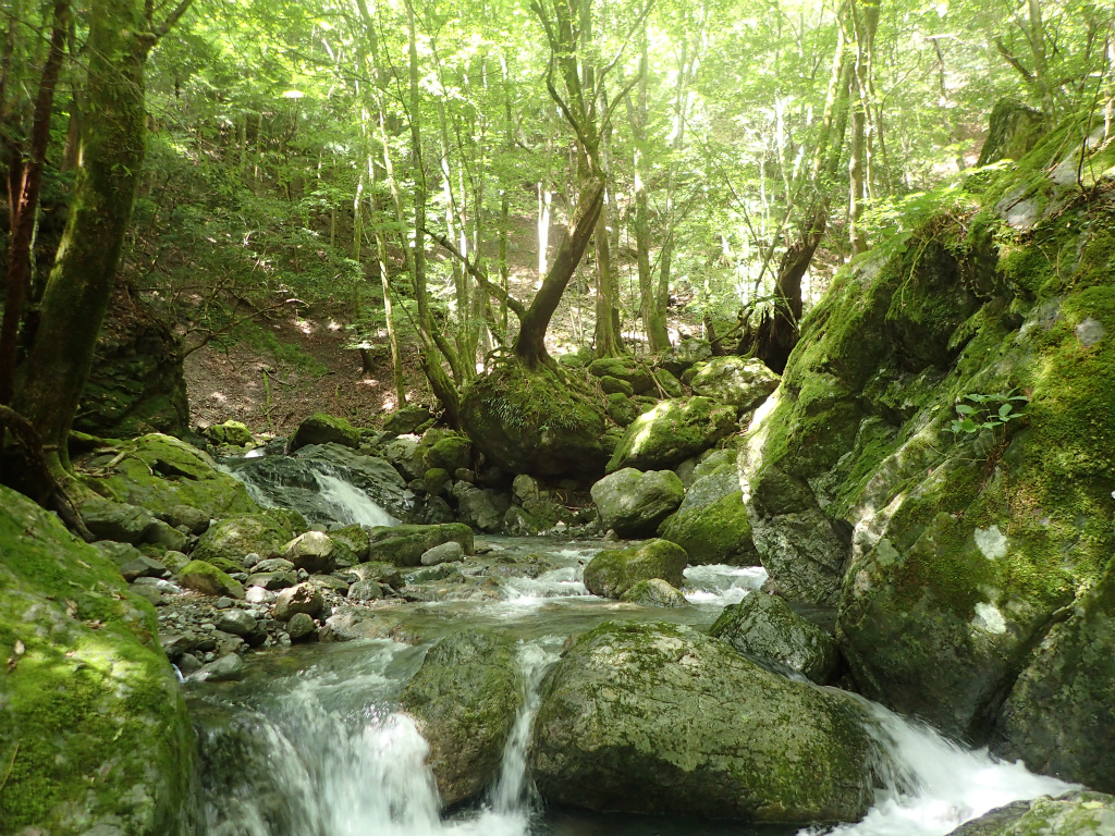 f:id:chkch:20210902222721j:plain