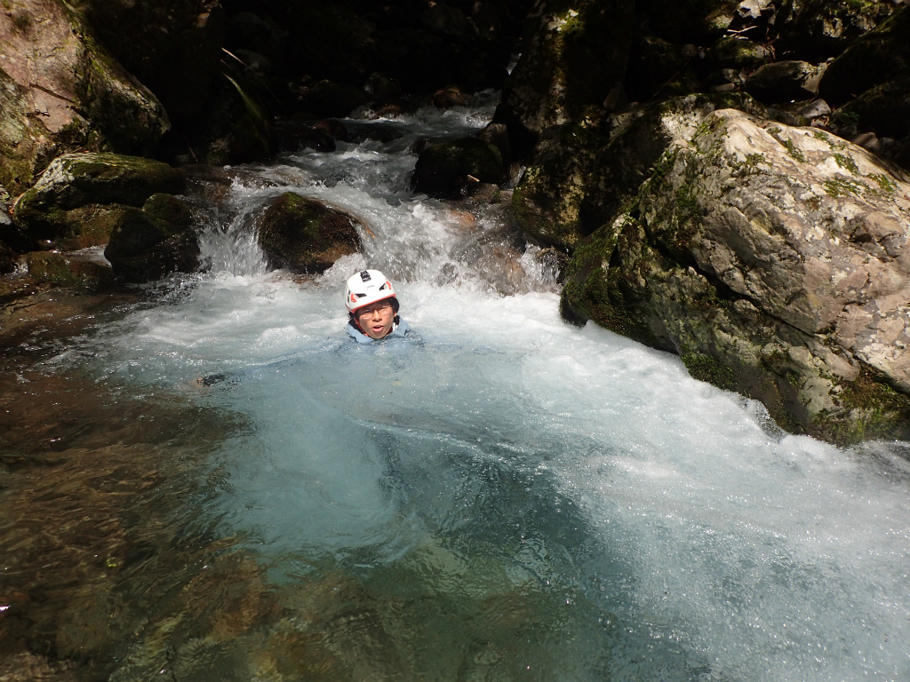 f:id:chkch:20210902222736j:plain