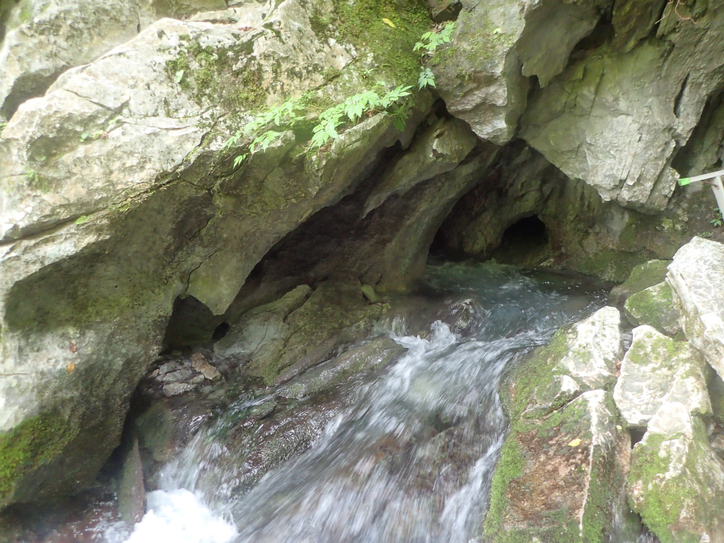 f:id:chkch:20210902222806j:plain