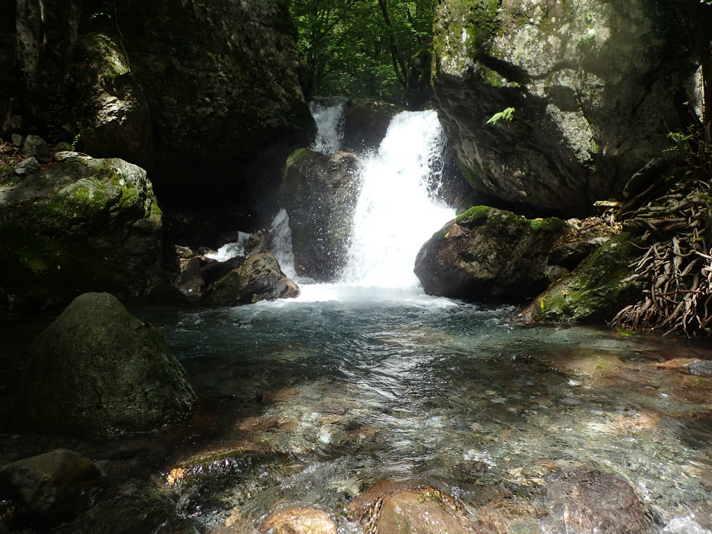 f:id:chkch:20210902223806j:plain