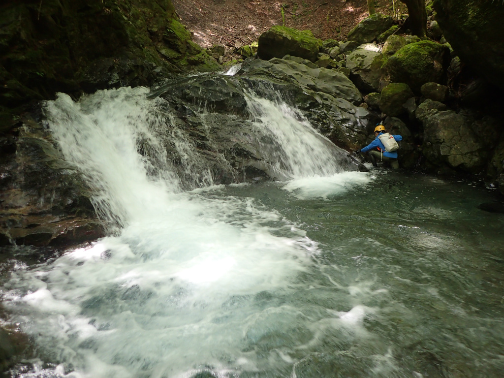 f:id:chkch:20210902225802j:plain