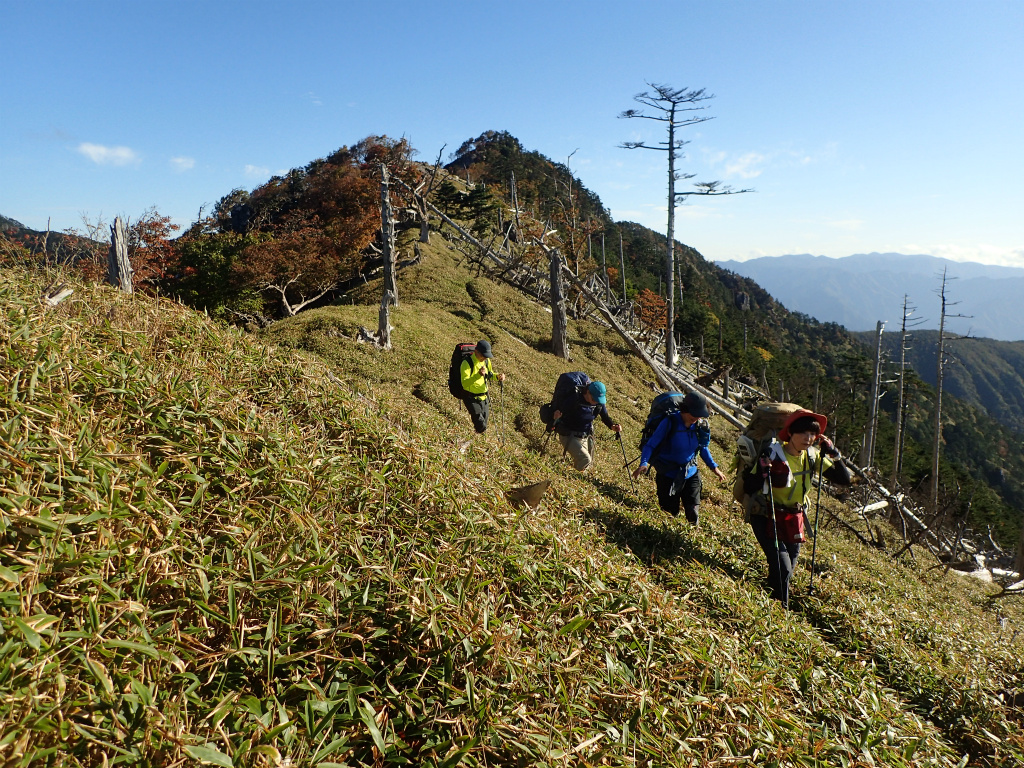 f:id:chkch:20211011234732j:plain