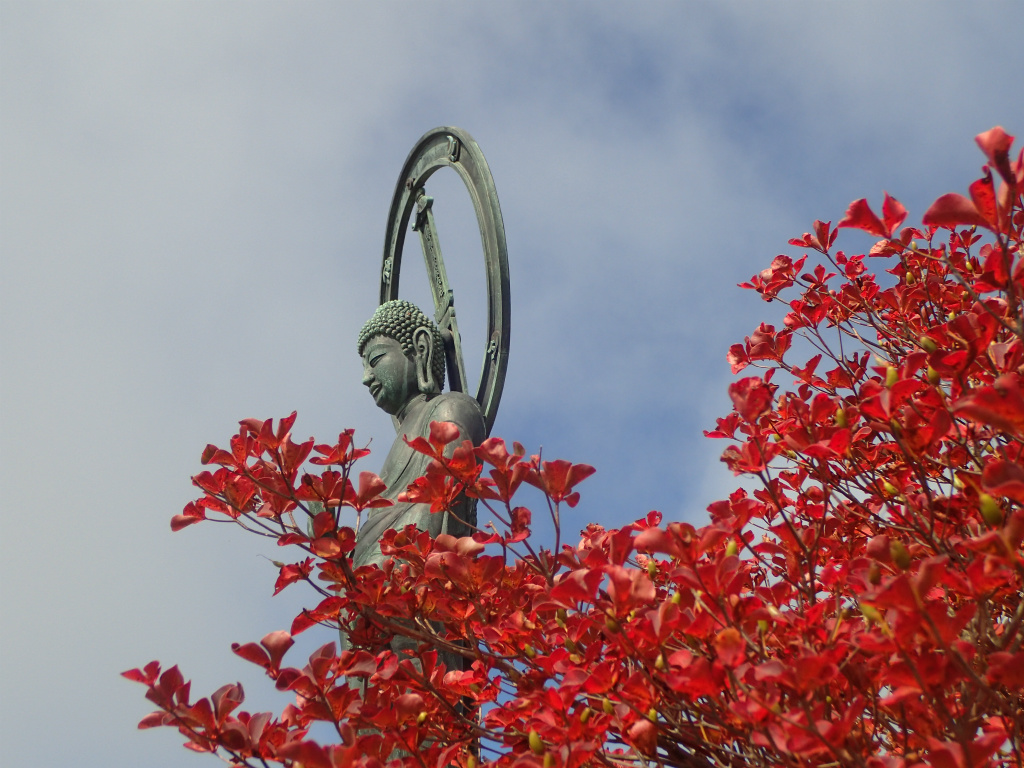 f:id:chkch:20211011234750j:plain